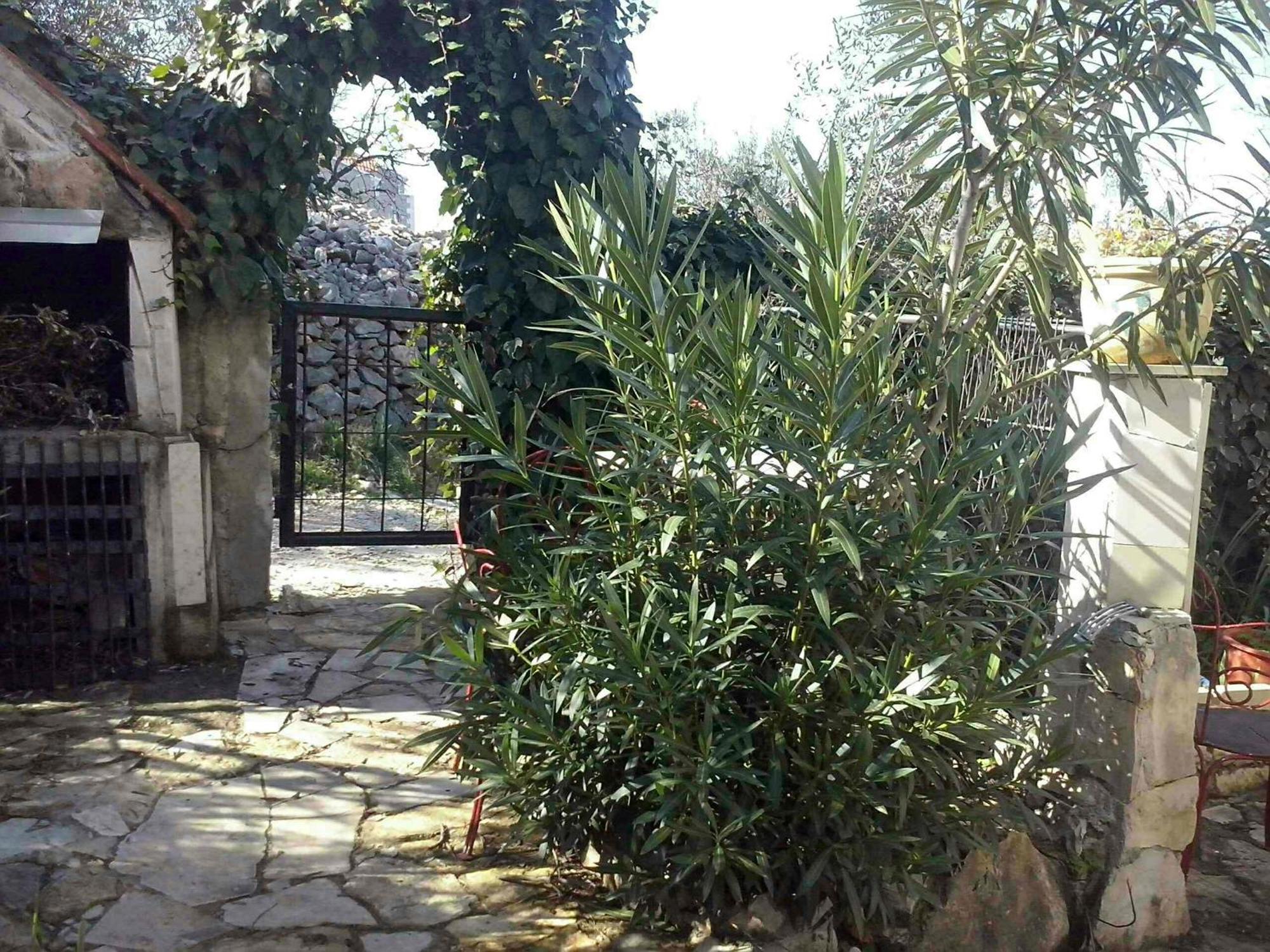 סופטאר Apartment Ma'Re מראה חיצוני תמונה